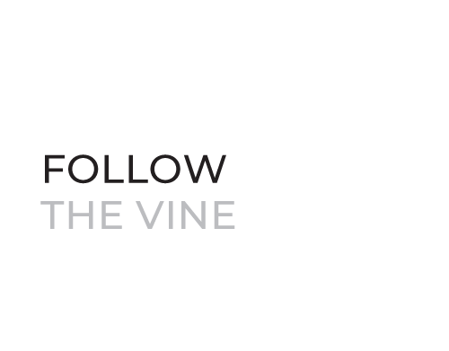 Follow the Vine